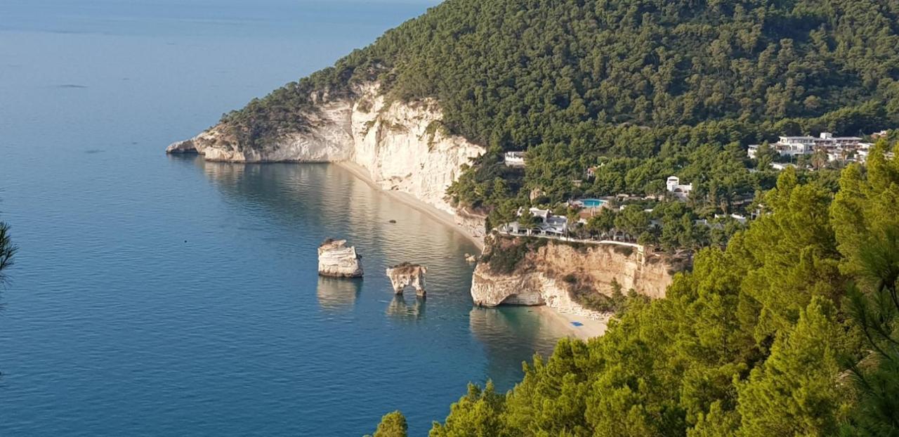 Villa Cala Della Pergola Vieste Eksteriør bilde