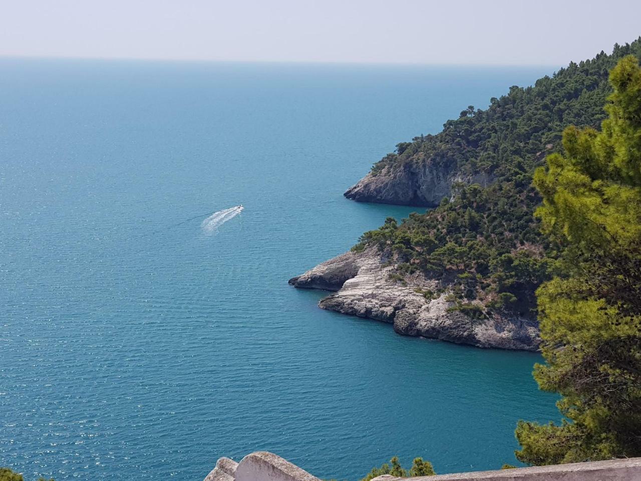 Villa Cala Della Pergola Vieste Eksteriør bilde