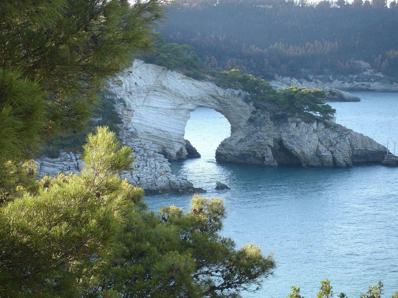 Villa Cala Della Pergola Vieste Eksteriør bilde